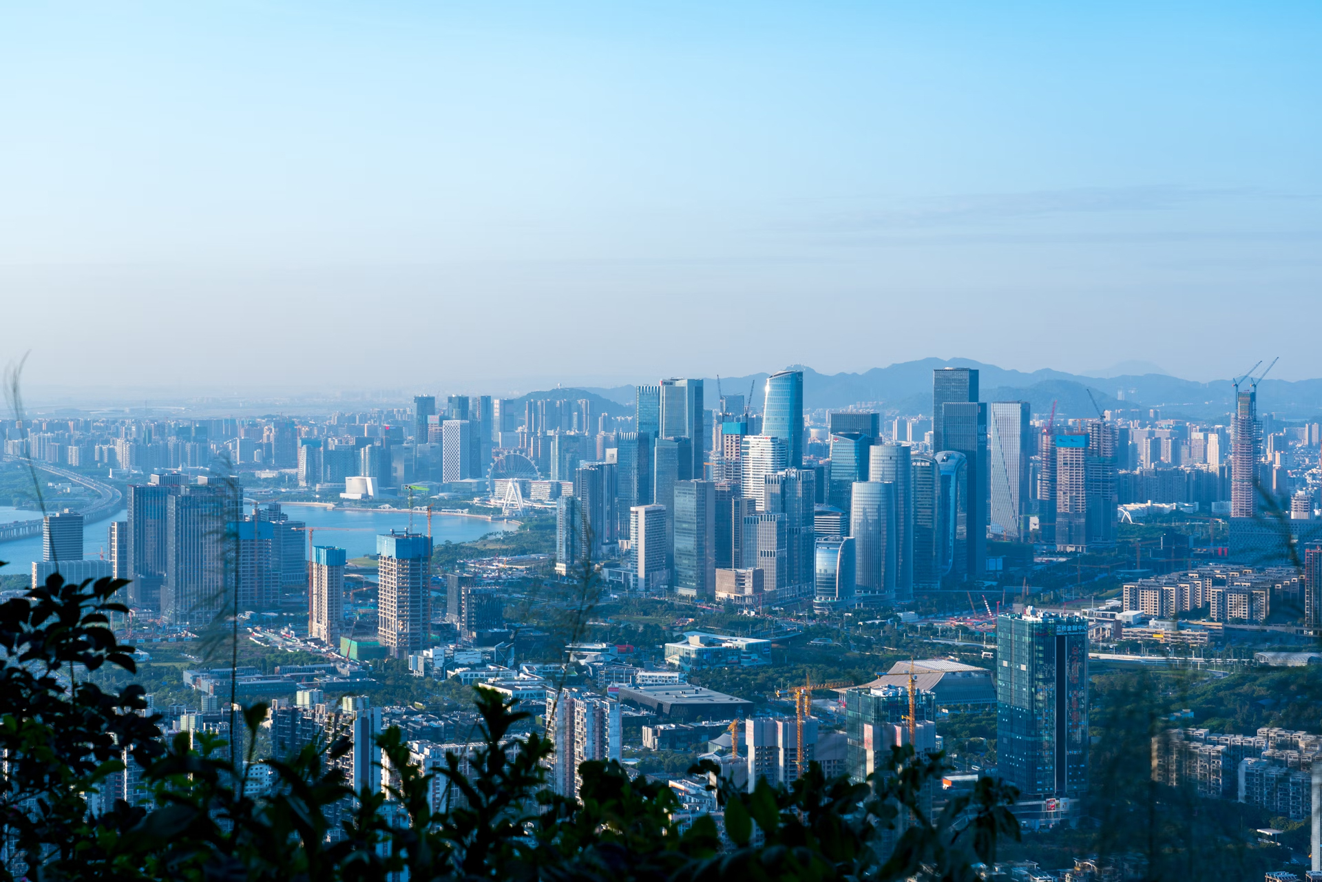 57688408.jpg photo-1636821772564-befe22b1b6e3.jpg